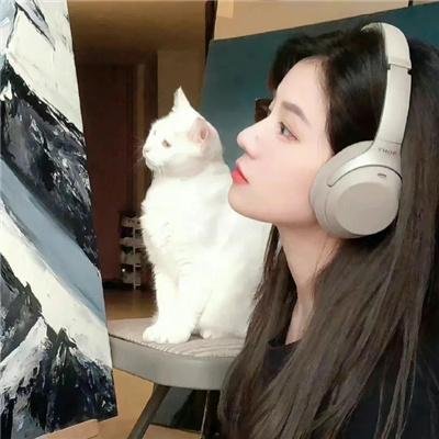 瞎猪想要飞